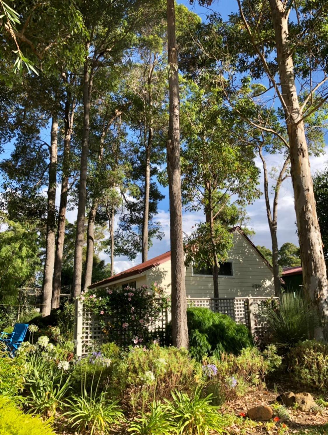 The Boulevard Garden Studio Leilighet Margaret River Eksteriør bilde